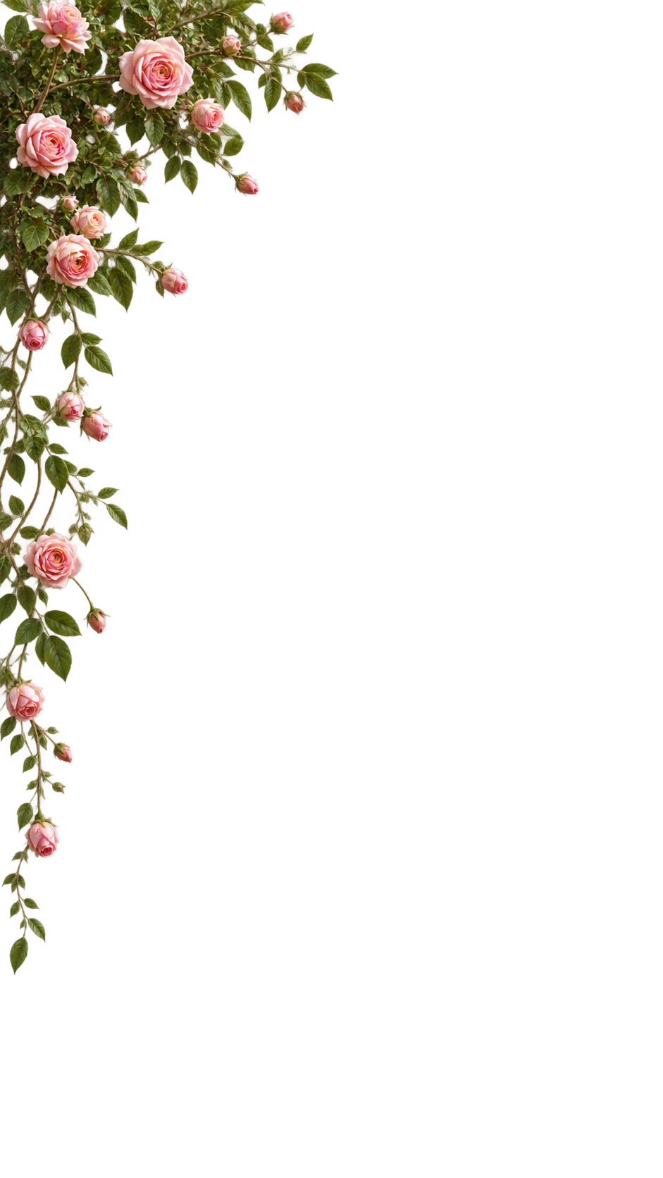 Top Flowers Left