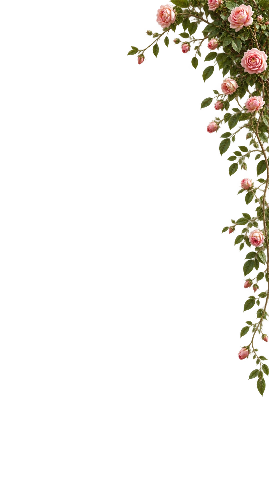 Top Flowers Right